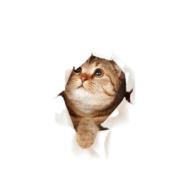 Biene Katzenaufkleber