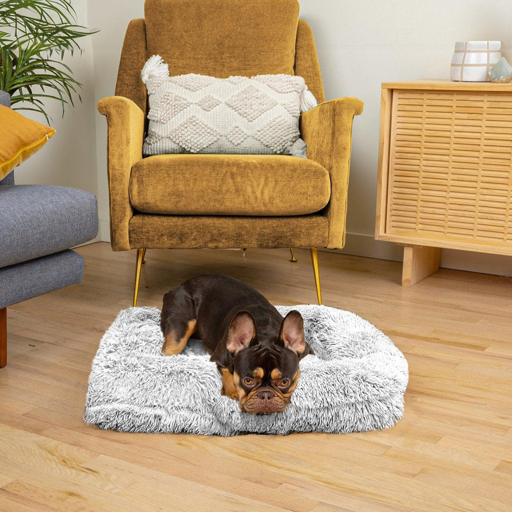 Lambert Komfort Schlafbett Hunde