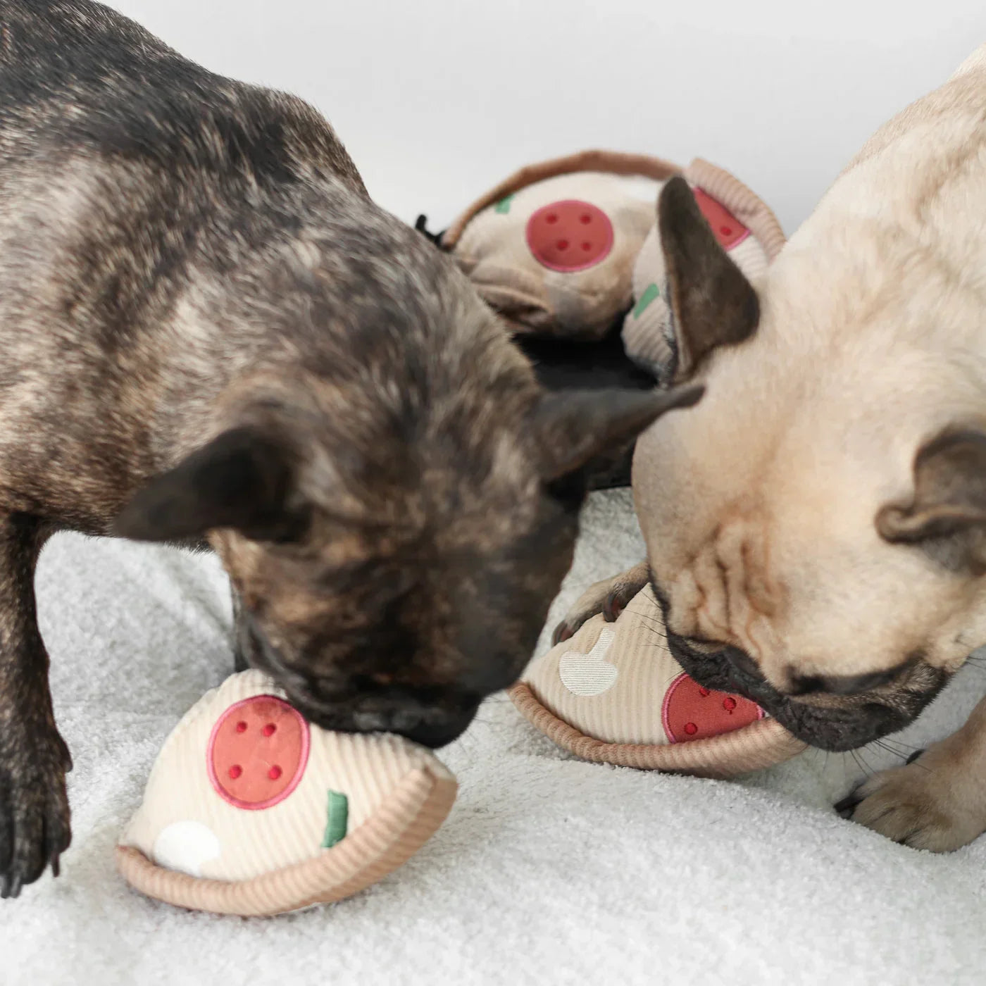 Pixie Interaktive Schnüffelmatte für Hunde