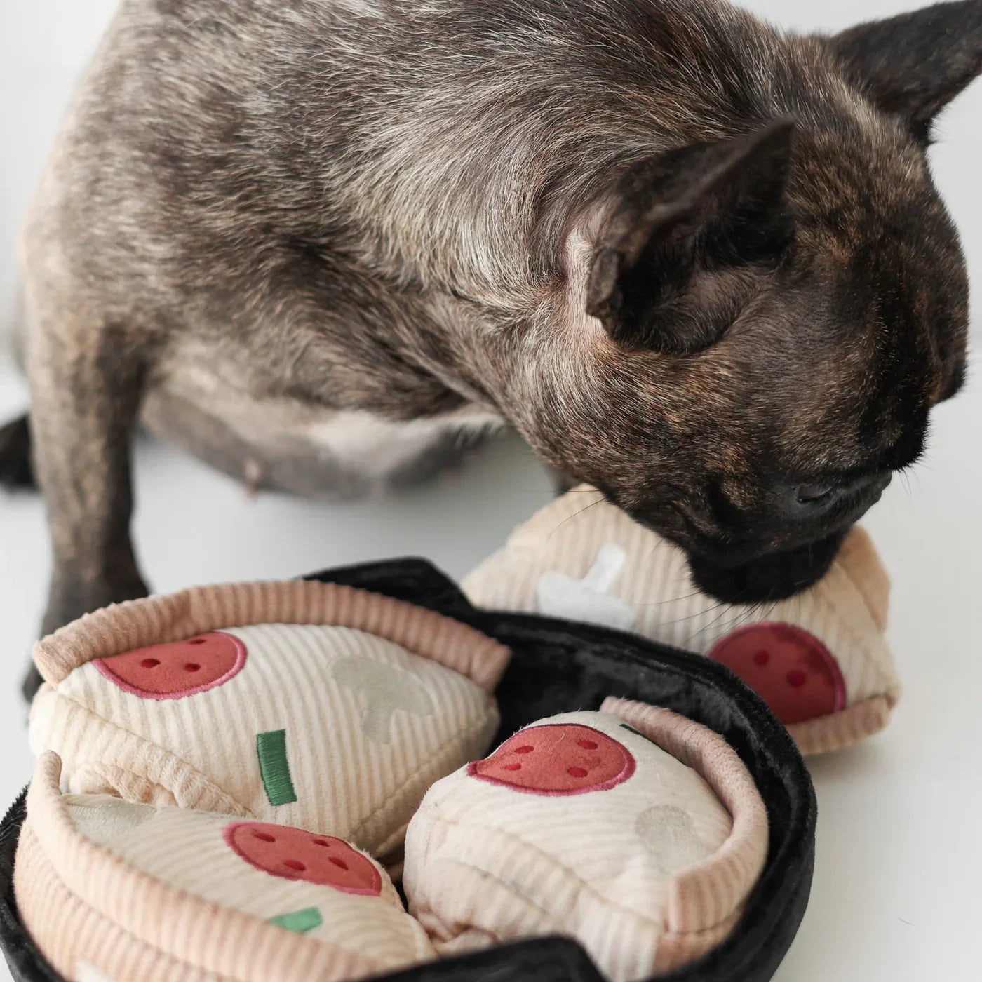 Pixie Interaktive Schnüffelmatte für Hunde