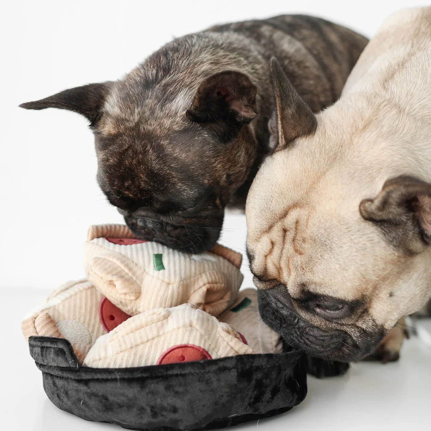 Pixie Interaktive Schnüffelmatte für Hunde