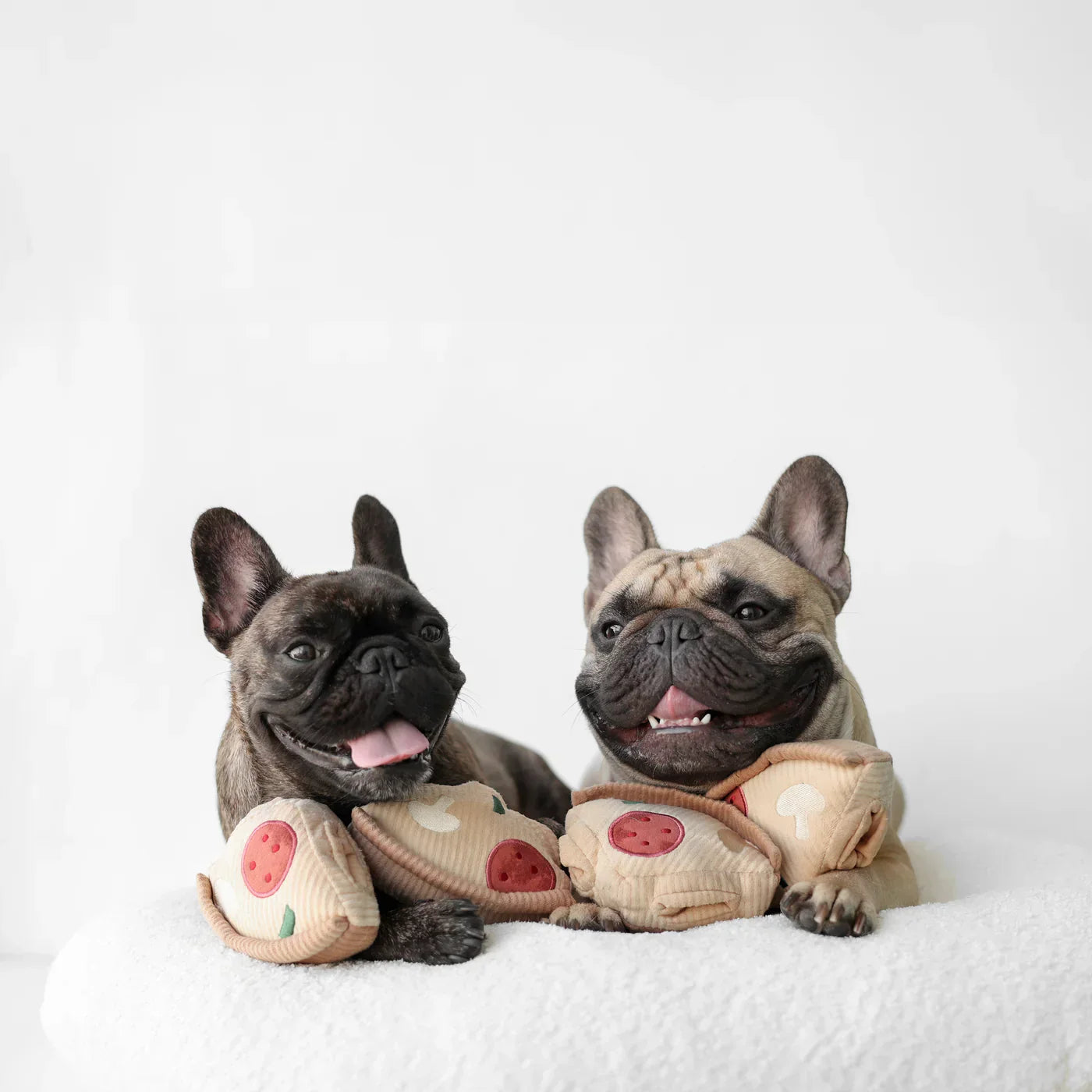 Pixie Interaktive Schnüffelmatte für Hunde