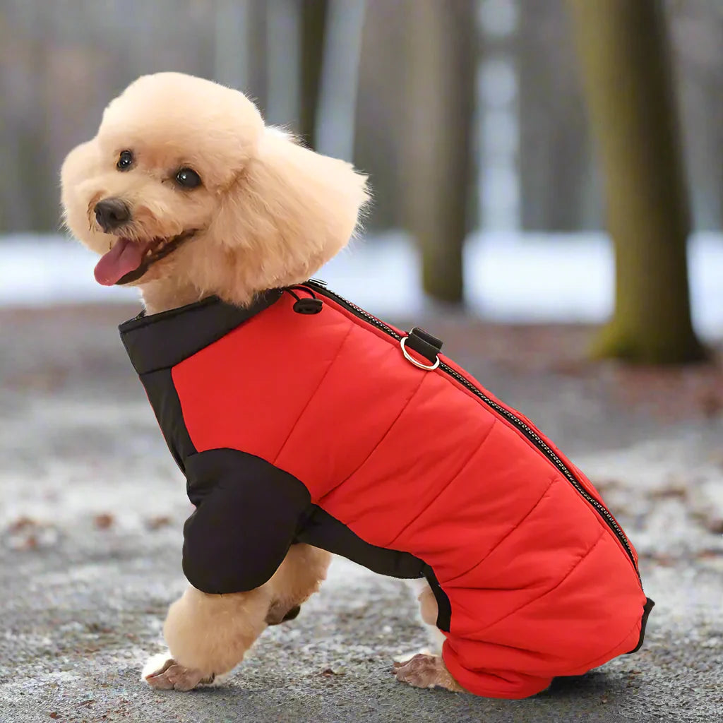 Lutz Hundemantel für Winter