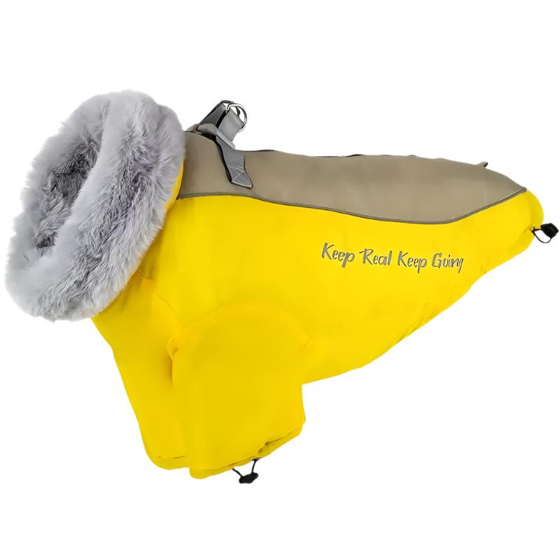 Kuno Hundejacke mit Kragen