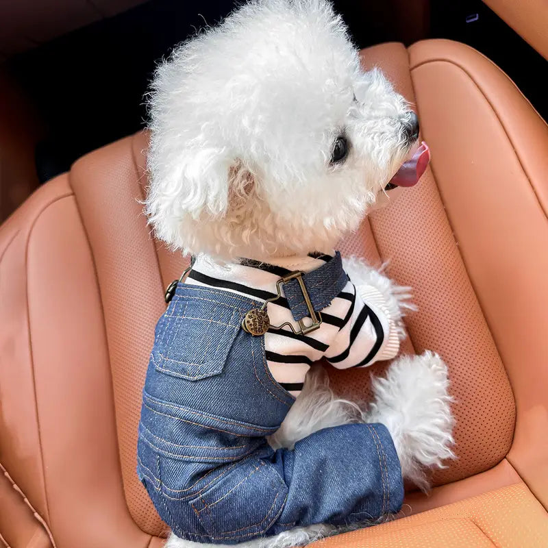 Dina Denim-Hundejacke