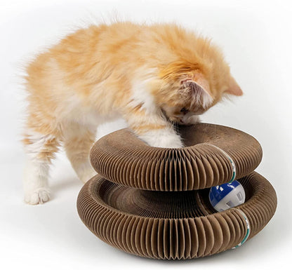 Gizmo | Kratzorgel, die Stress und Langeweile reduziert