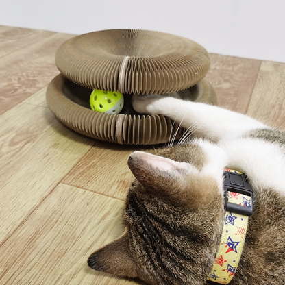 Gizmo | Kratzorgel, die Stress und Langeweile reduziert