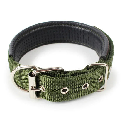 Julius Halsband Hund und Katzen