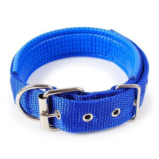 Julius Halsband Hund und Katzen