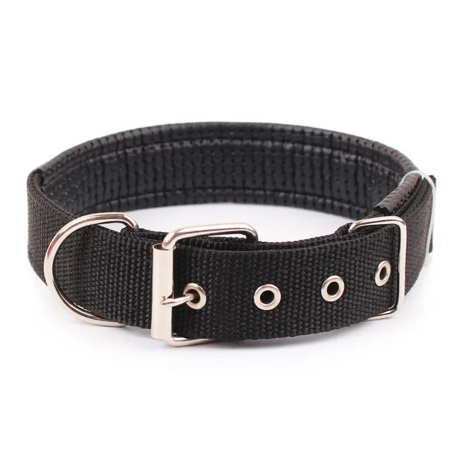 Julius Halsband Hund und Katzen