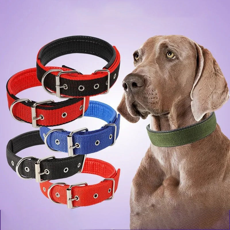 Julius Halsband Hund und Katzen