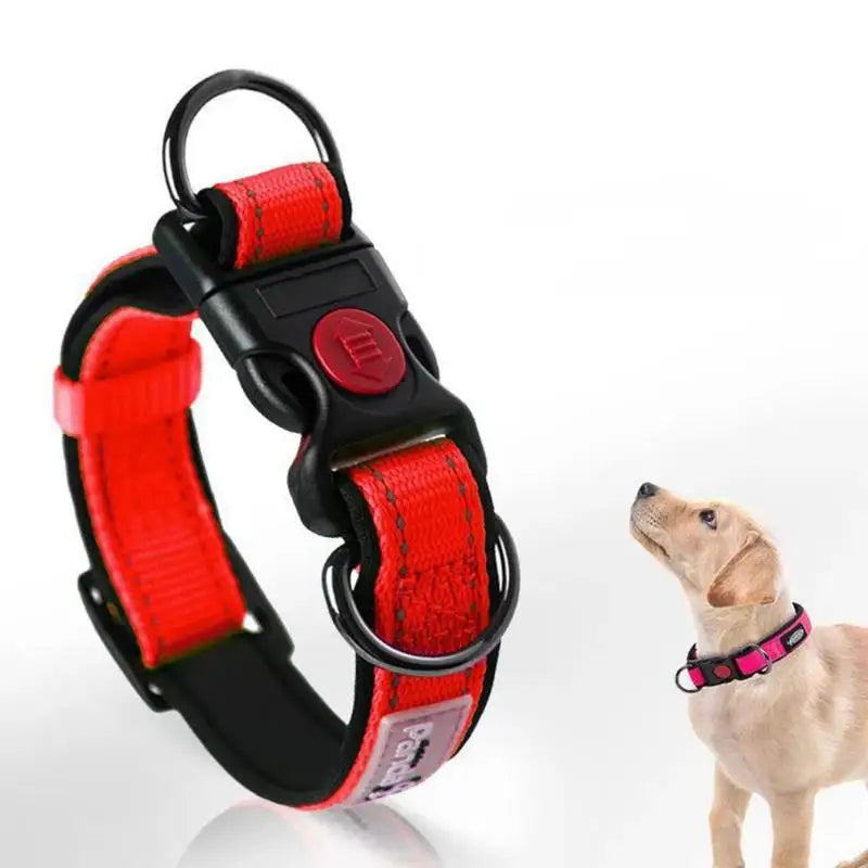 Heinrich Reflektierendes verstellbares Hundehalsband