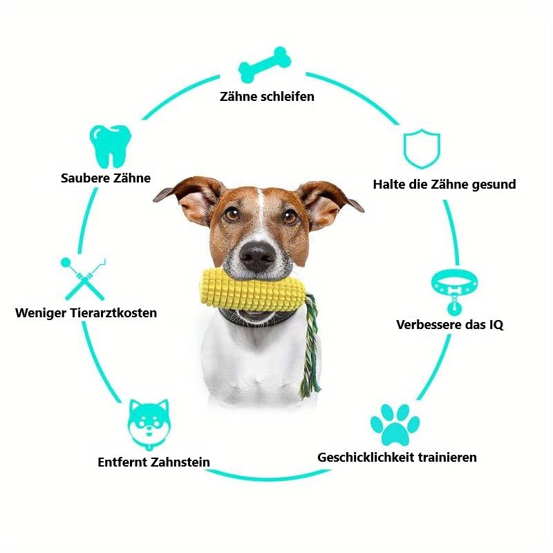 Stella | Kauspielzeug für Aktive Hunde
