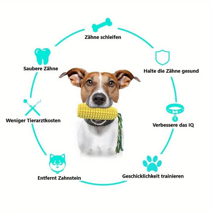 Stella | Kauspielzeug für Aktive Hunde