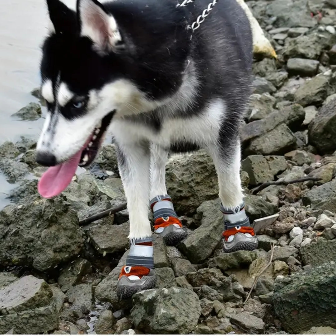 Laura Wasserdichte Hundeschuhe