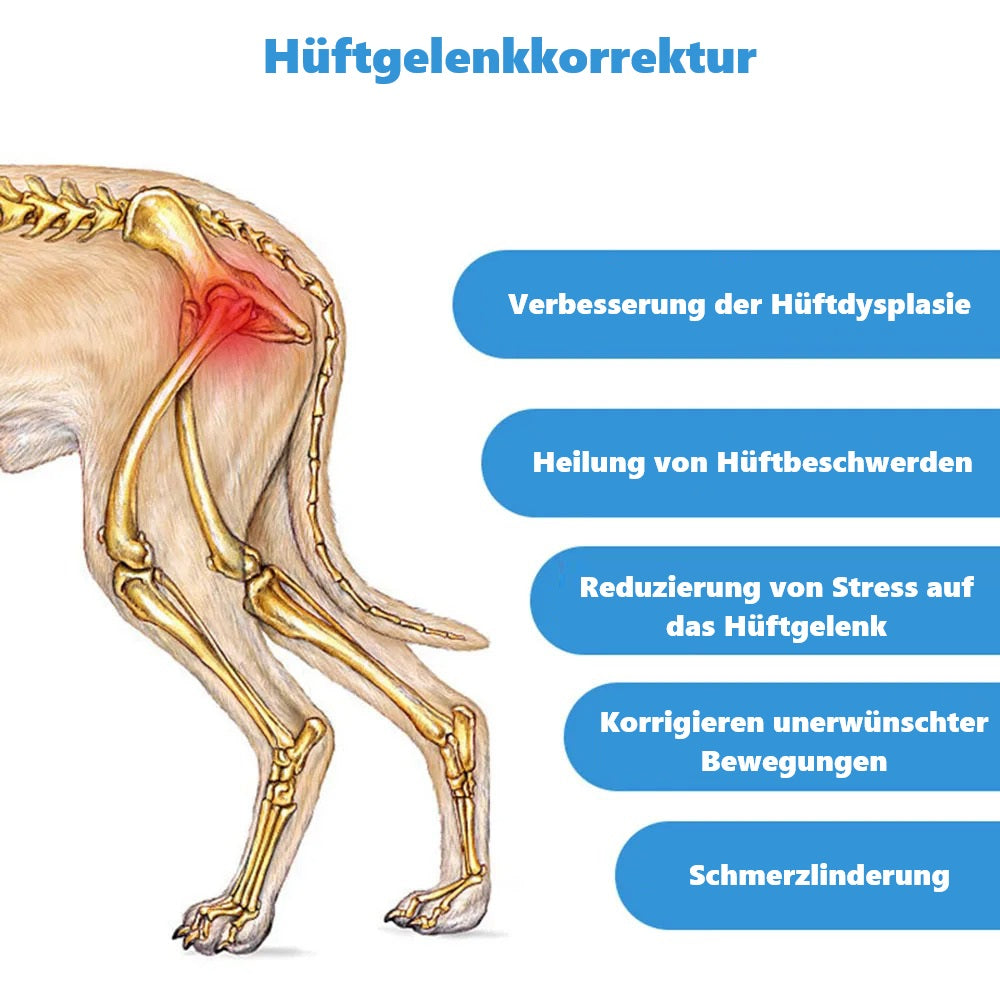Sparky Unterstützender Stützgürtel Hunde