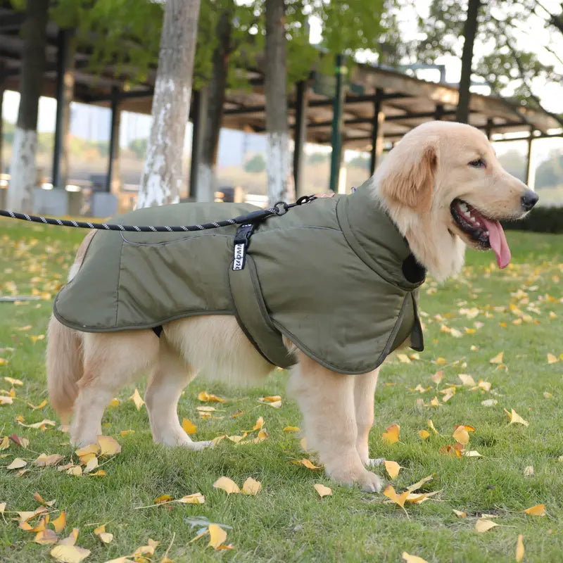 Cody Hundejacke