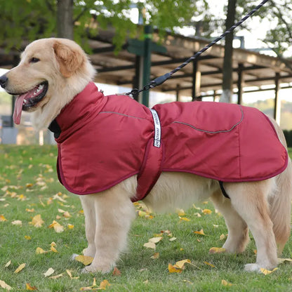 Cody Hundejacke