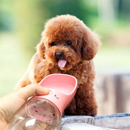 Leo | Lekfreie Wasserflasche für unterwegs