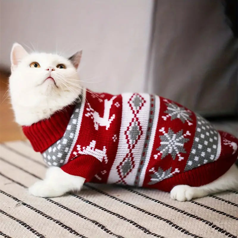 Blaze Gestrickter Pullover für Katzen