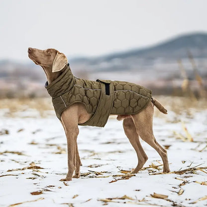 Sarge | Hundejacke Hund