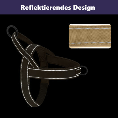 Rainer Hundegeschirr