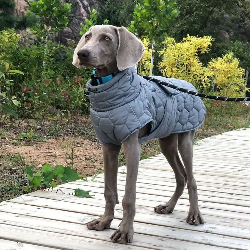 Sarge | Hundejacke Hund