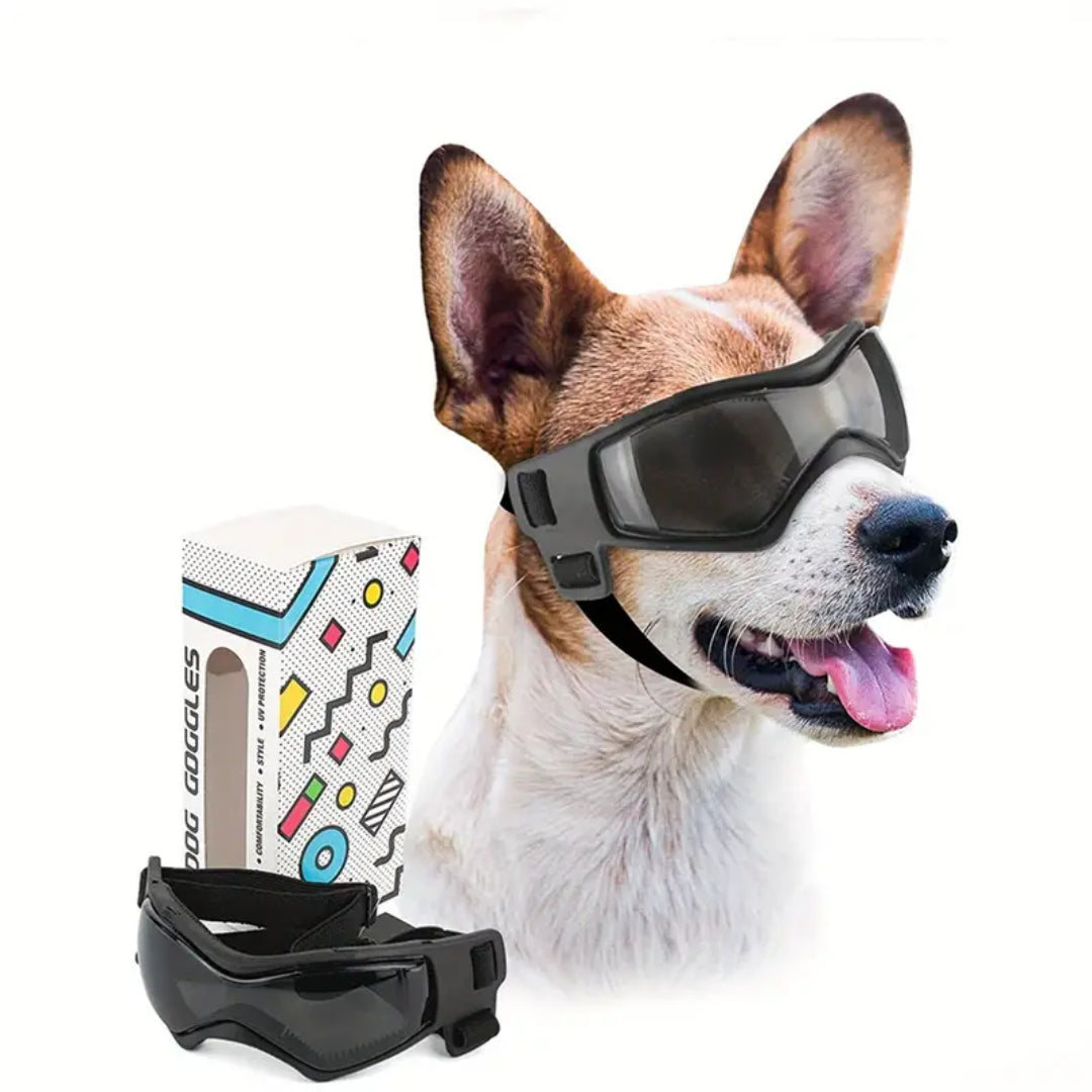 hund goggles Jack