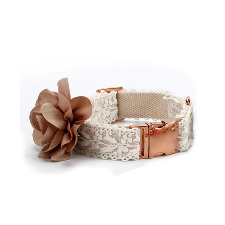 Elsa | Luxe Halsband mit kostenlosem Geschirr (im Wert von 14,95 €)