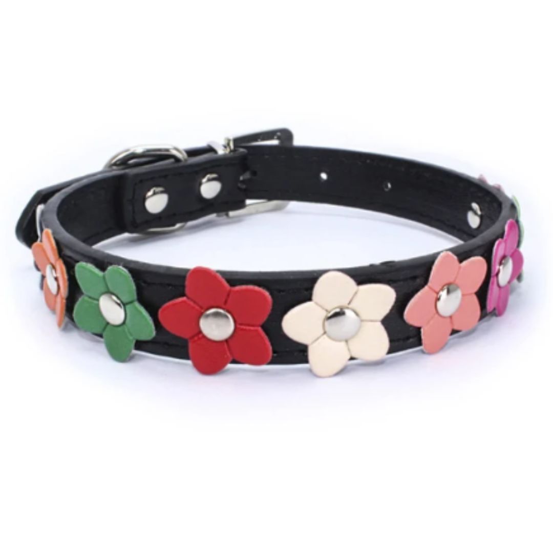 Angie | Stilvolles und sicheres Halsband für Hunde und Katzen
