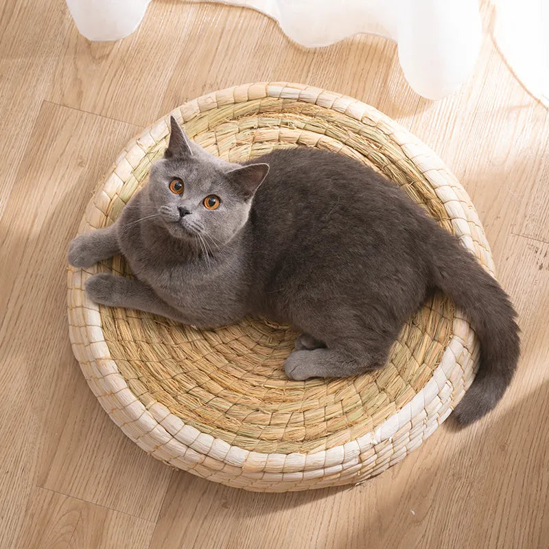 Carlo | Katzenbett rund und handgefertigt aus Naturmaterialien – weich und natürlich