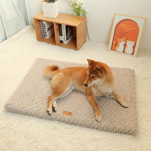 Zephiro Plüsch Hundebett