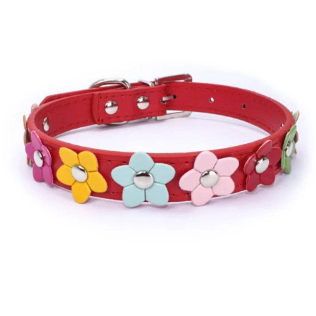 Angie | Stilvolles und sicheres Halsband für Hunde und Katzen