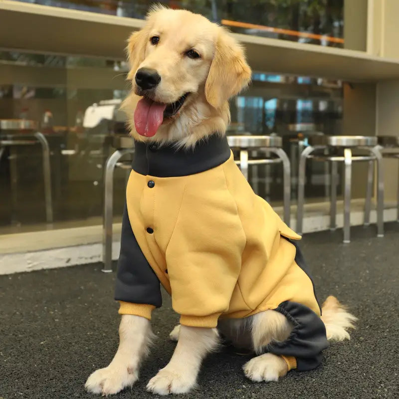 Linus Pullover für Hunde