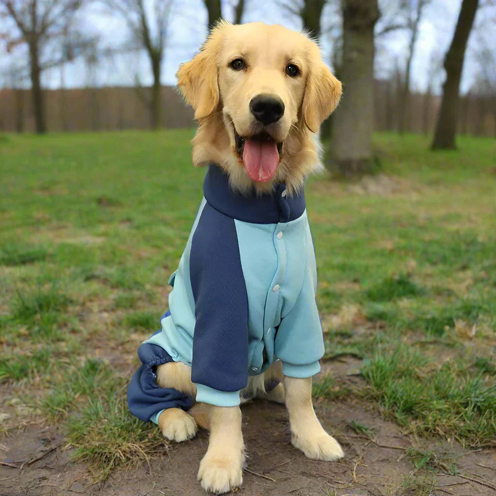 Linus Pullover für Hunde