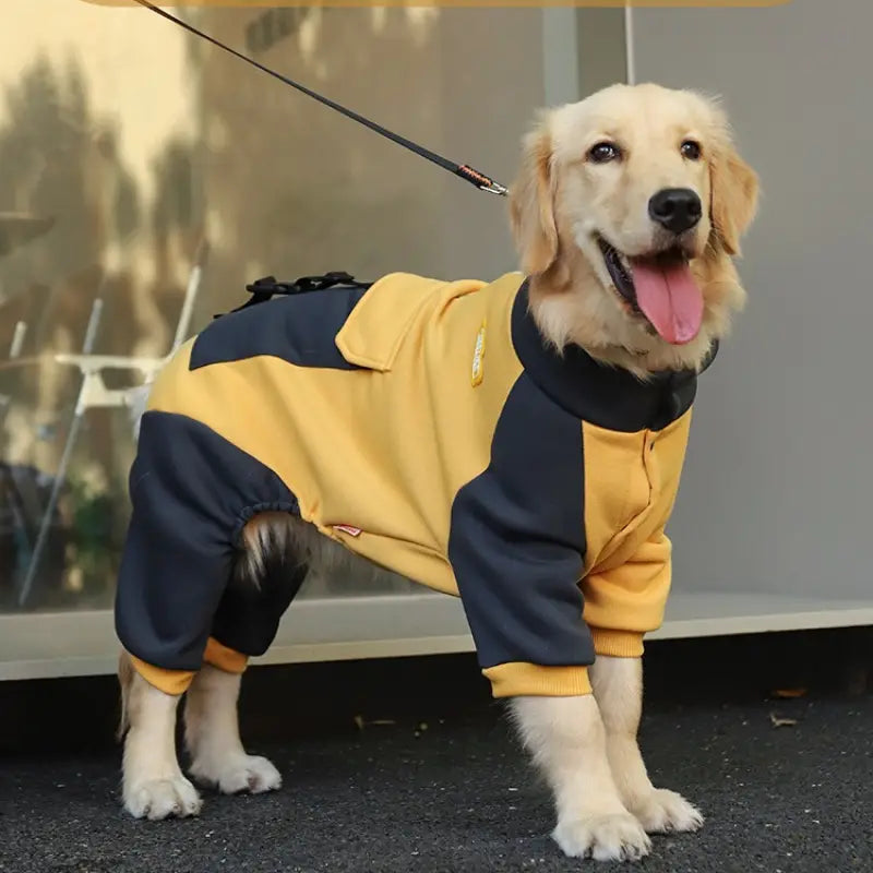 Linus Pullover für Hunde