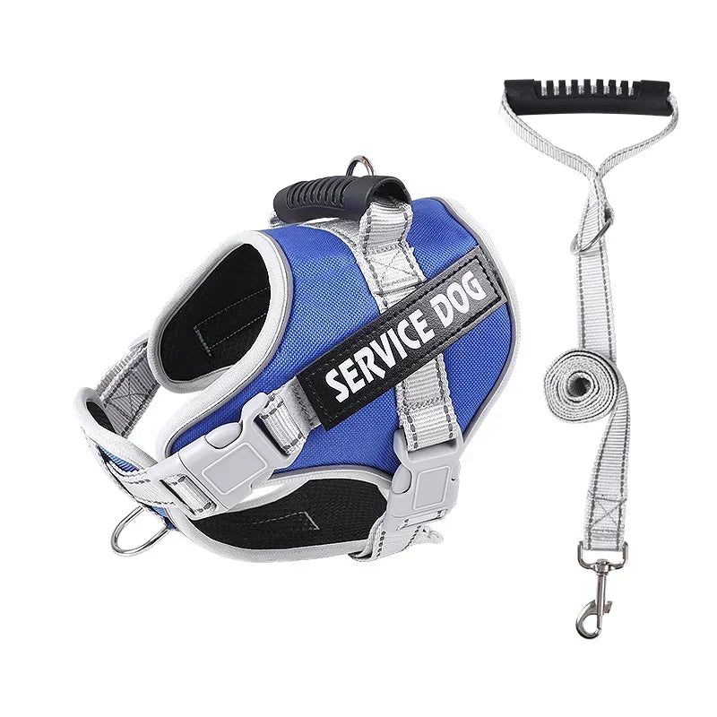Hans Hundeleine mit Geschirr-Set für Assistenzhunde