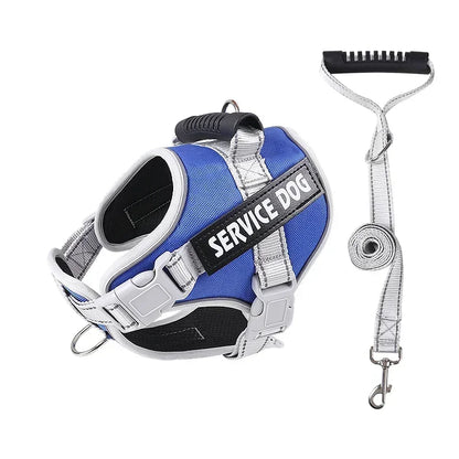Hans Hundeleine mit Geschirr-Set für Assistenzhunde