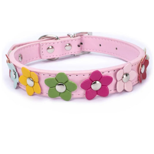 Angie | Stilvolles und sicheres Halsband für Hunde und Katzen