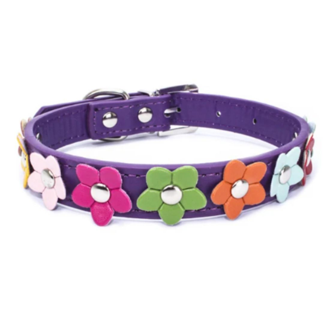 Angie | Stilvolles und sicheres Halsband für Hunde und Katzen