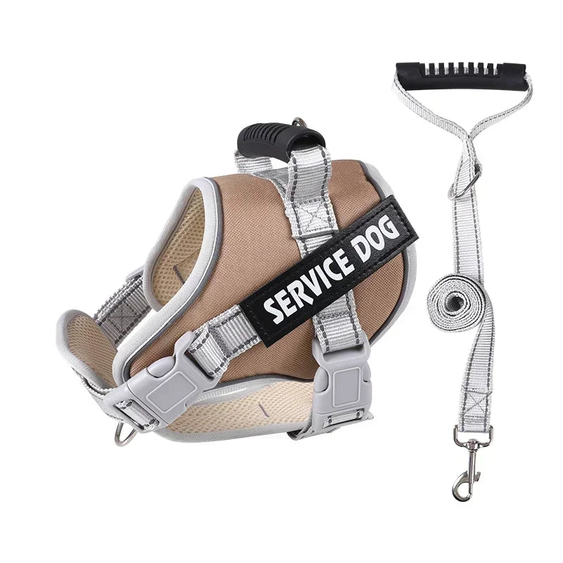 Hans Hundeleine mit Geschirr-Set für Assistenzhunde