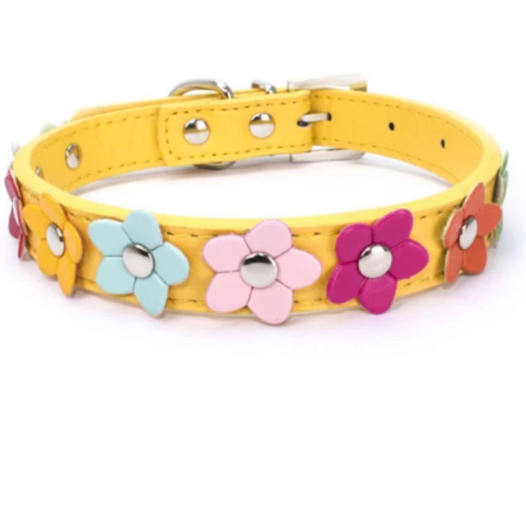 Angie | Stilvolles und sicheres Halsband für Hunde und Katzen