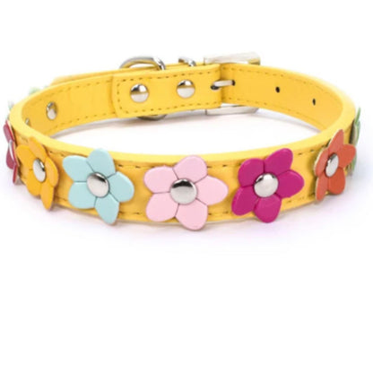 Angie | Stilvolles und sicheres Halsband für Hunde und Katzen