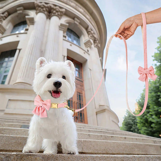 Elmo | Hundehalsband mit stilvoller Schleife für besondere Anlässe