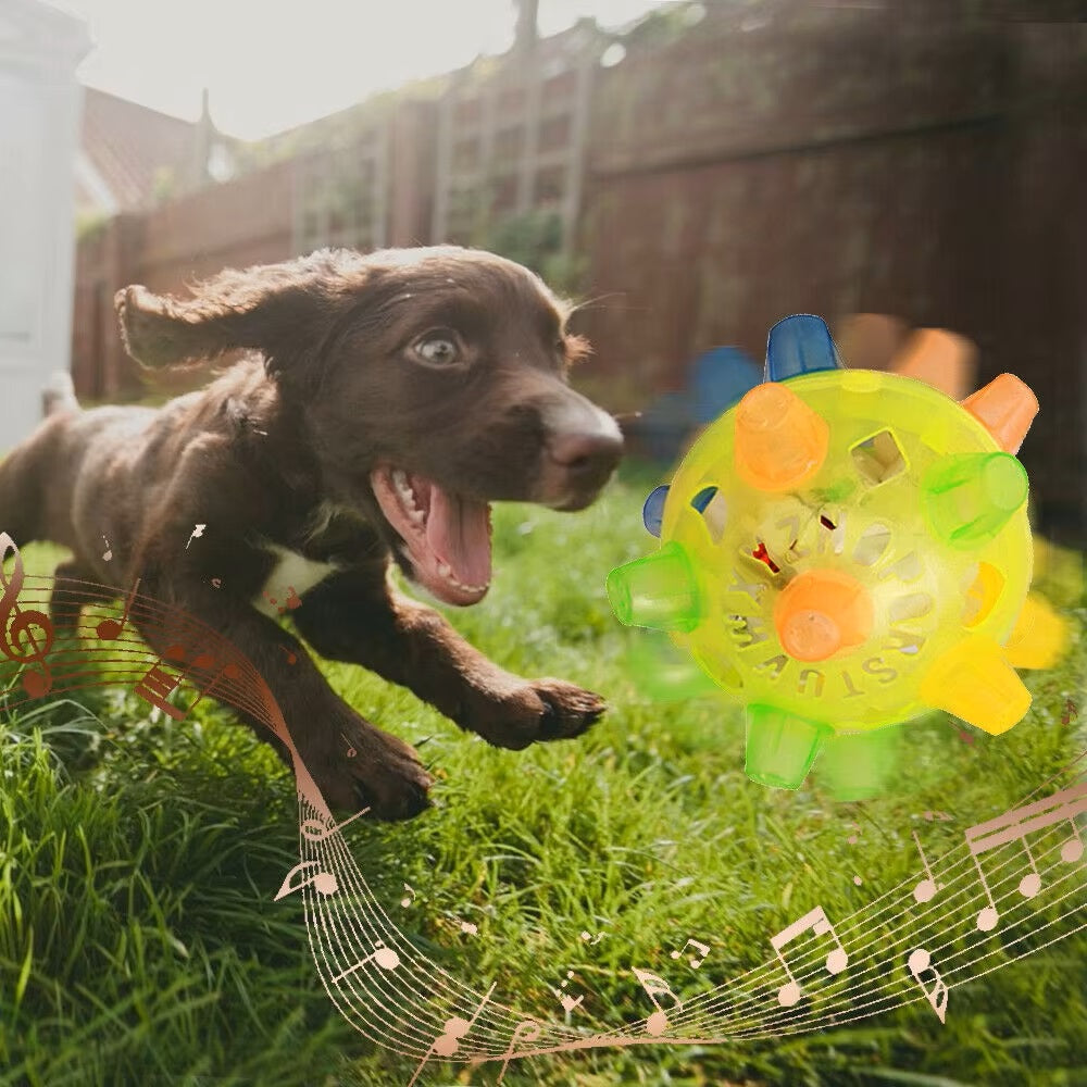 Gerd | Springende Hundeball, die Langeweile reduziert
