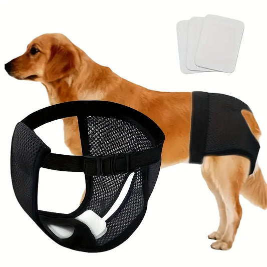 Lotti | Atmungsaktive Hundeunterhosen für eine sorgenfreie Periode