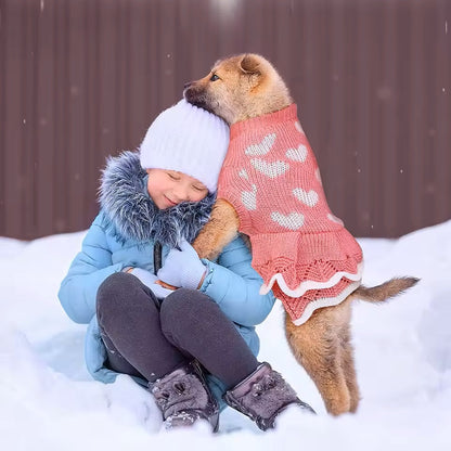 Angel Kleid für Hunde