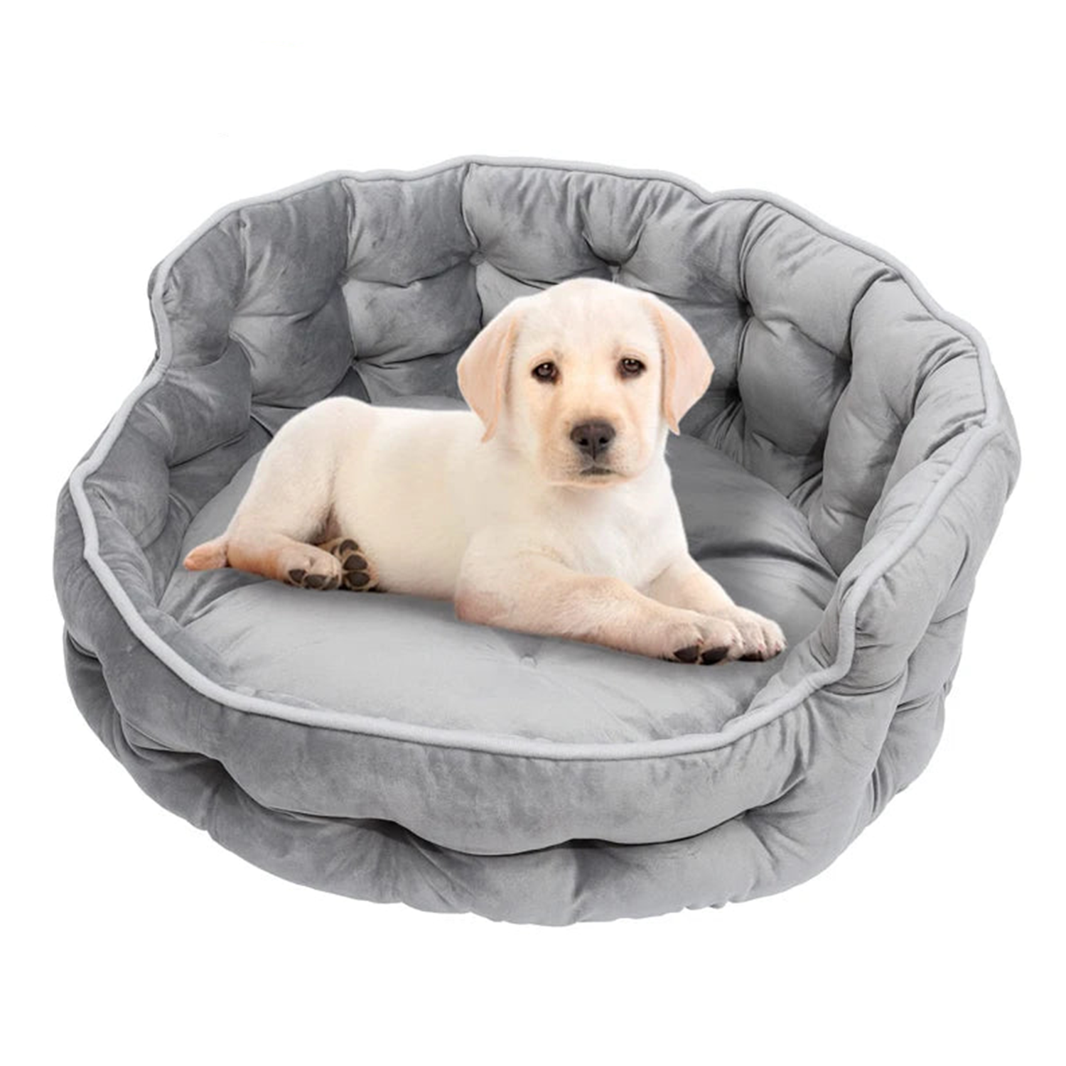 Doodle Samt-Hundebett