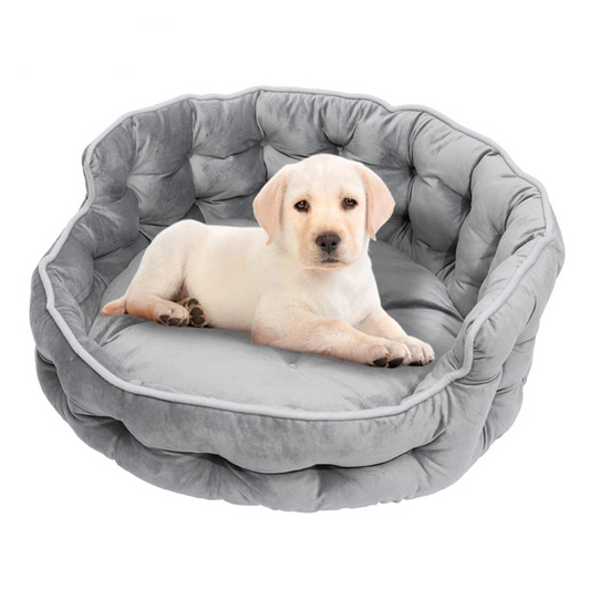 Doodle Samt-Hundebett
