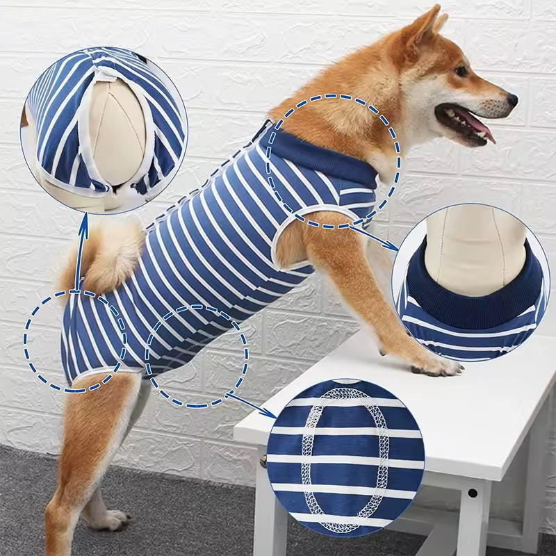 Ziggy Erholungsoverall für Hunde